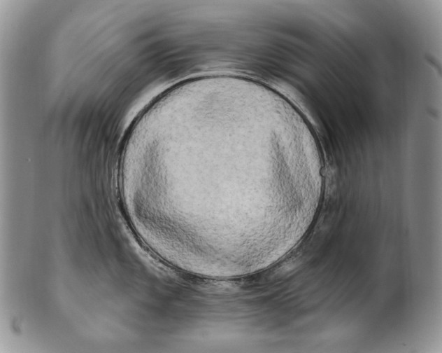 X0000100781101200807101810