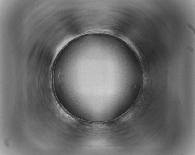 X0000100781102200807101810