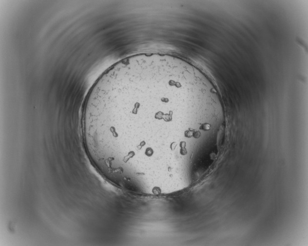 X0000100781103200807101810