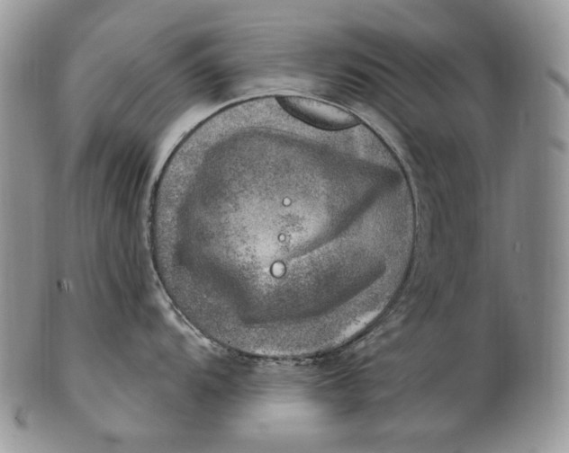 X0000100781104200807101810