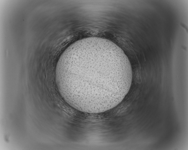 X0000100781105200807101809