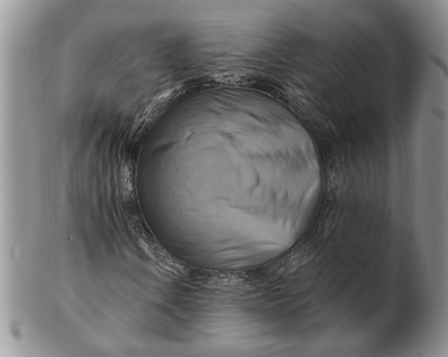 X0000100781106200807101809