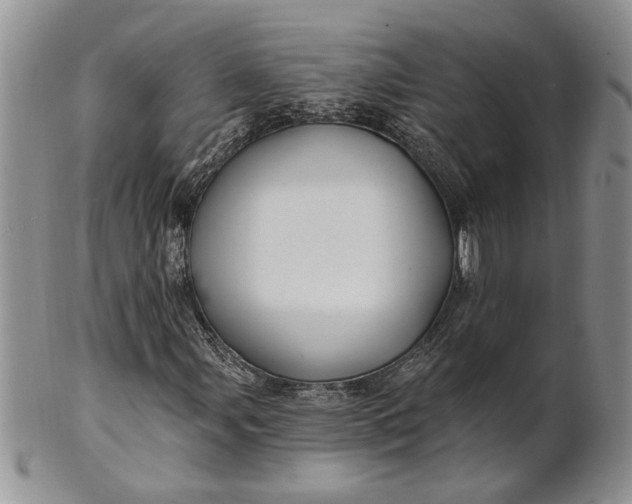 X0000100781107200807101809