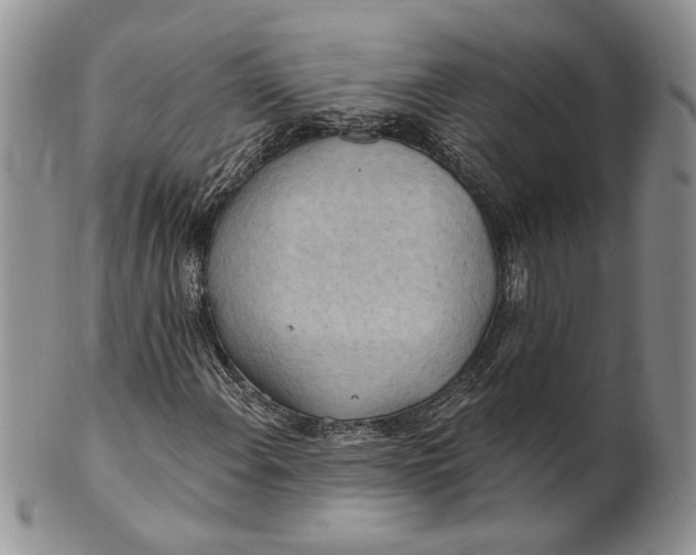 X0000100781108200807101809