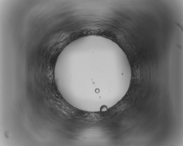 X0000100781109200807101809