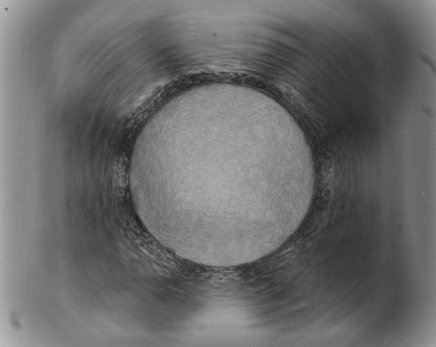 X0000100781110200807101809