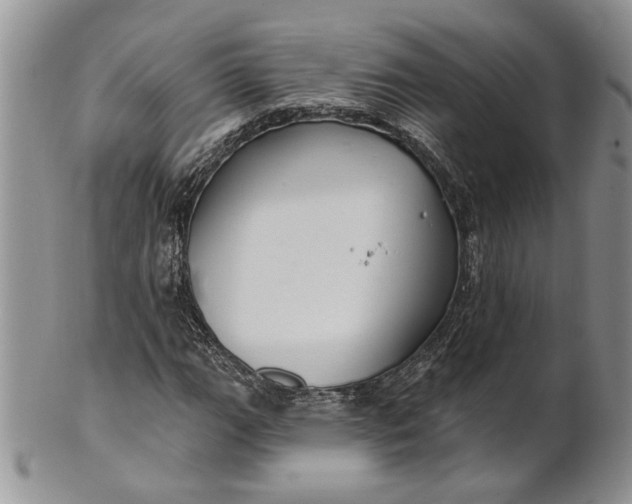 X0000100781111200807101809