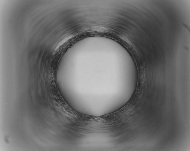 X0000100781112200807101809