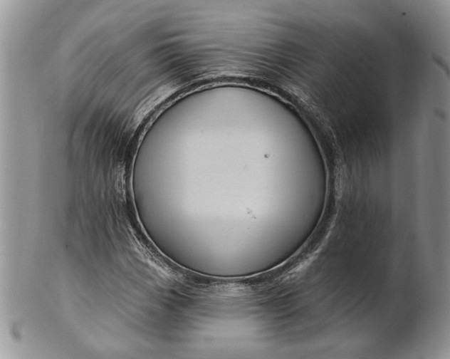 X0000100781113200807101809