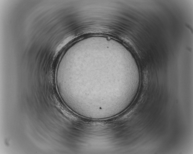 X0000100781114200807101809