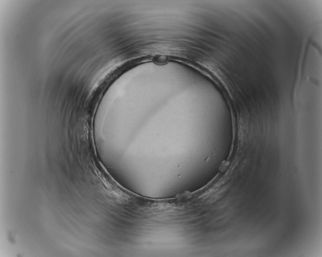 X0000100781115200807101809