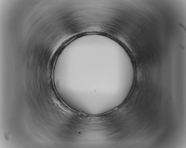 X0000100781116200807101809