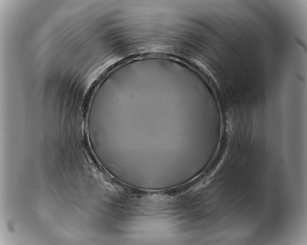 X0000100781117200807101809