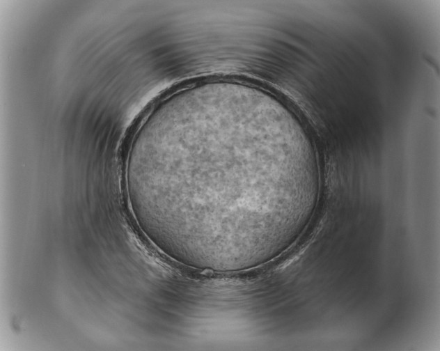 X0000100781118200807101809