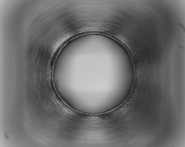 X0000100781119200807101809