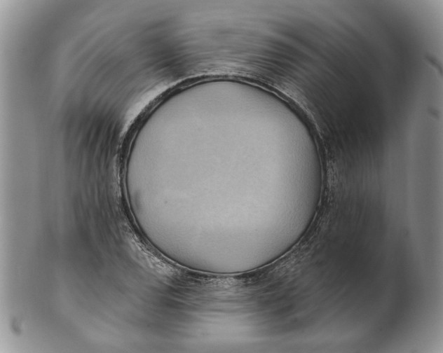 X0000100781120200807101810