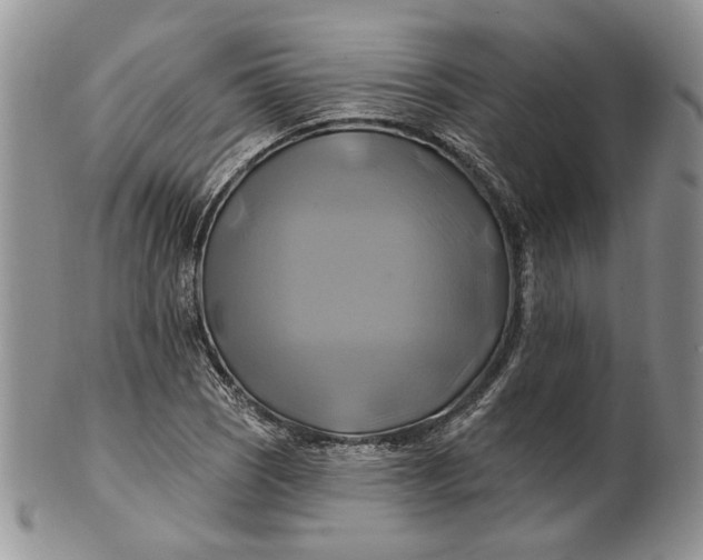 X0000100781121200807101810