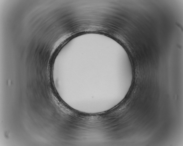 X0000100781122200807101810