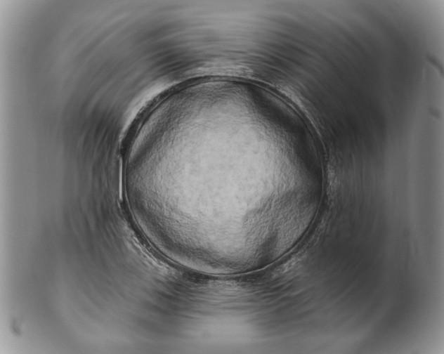 X0000100781123200807101810