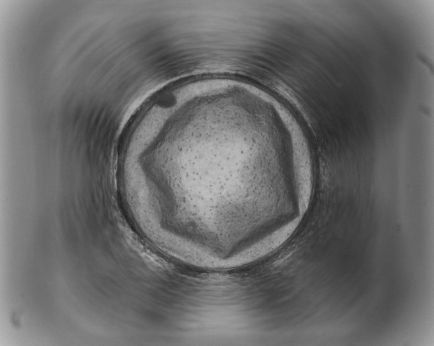 X0000100781124200807101810