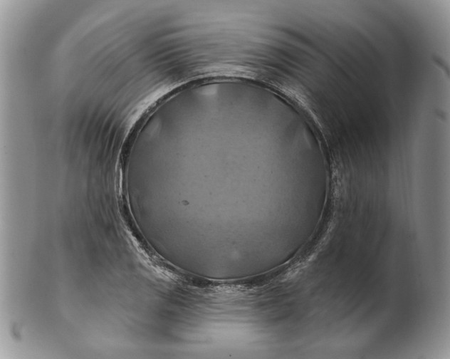 X0000100781125200807101810