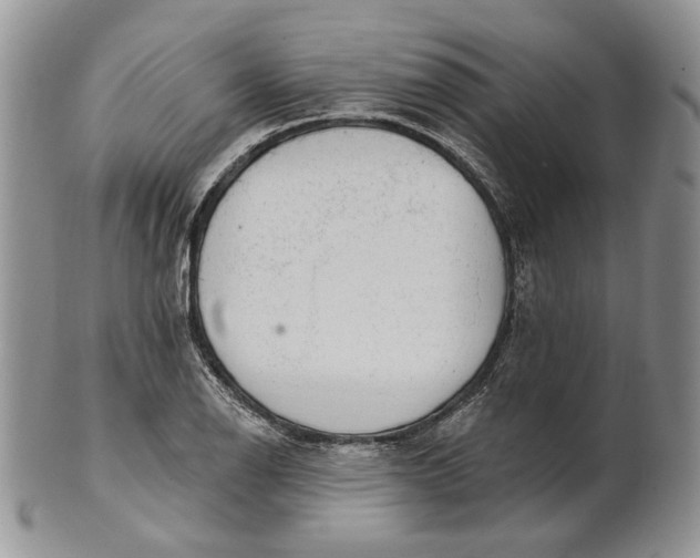 X0000100781126200807101810