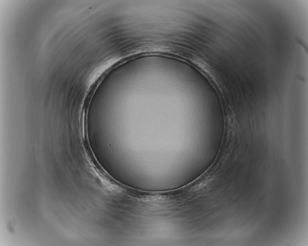 X0000100781127200807101810