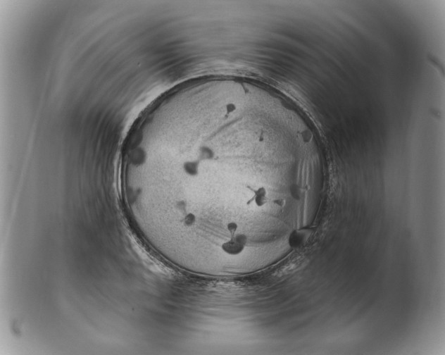 X0000100781128200807101810