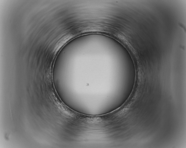 X0000100781129200807101810