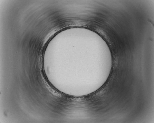 X0000100781130200807101810