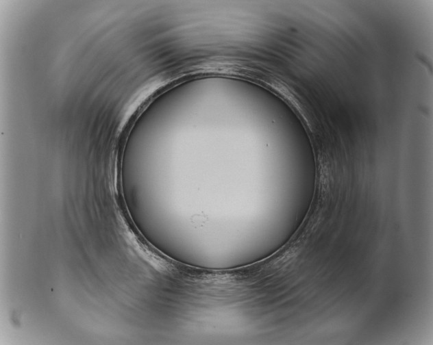 X0000100781131200807101810