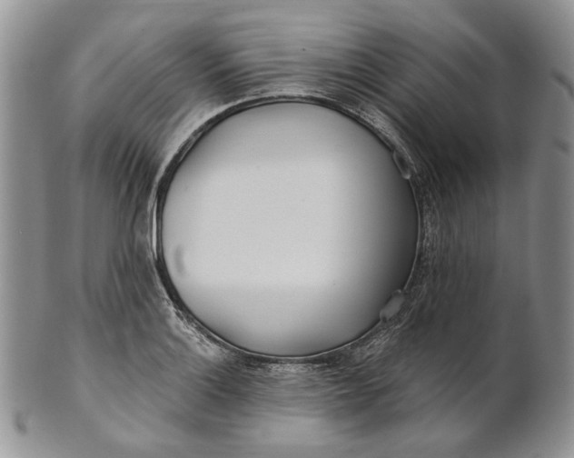 X0000100781132200807101810