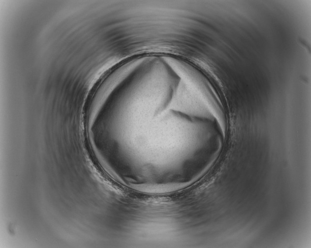 X0000100781133200807101810