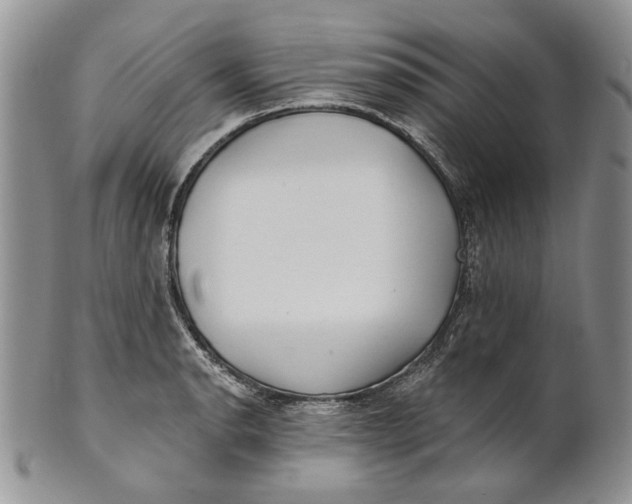 X0000100781134200807101810