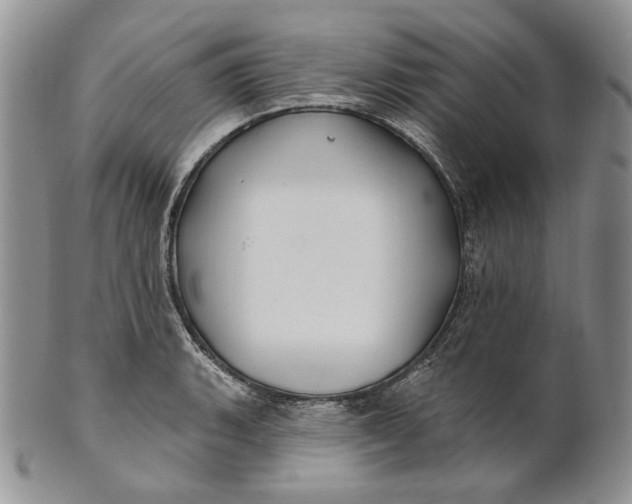 X0000100781135200807101810