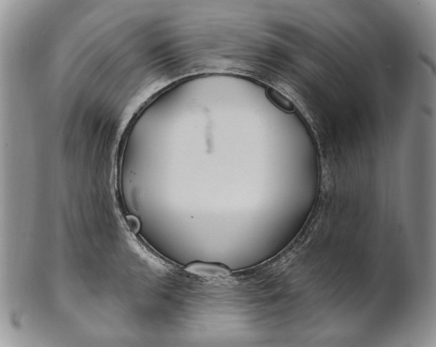 X0000100781136200807101810