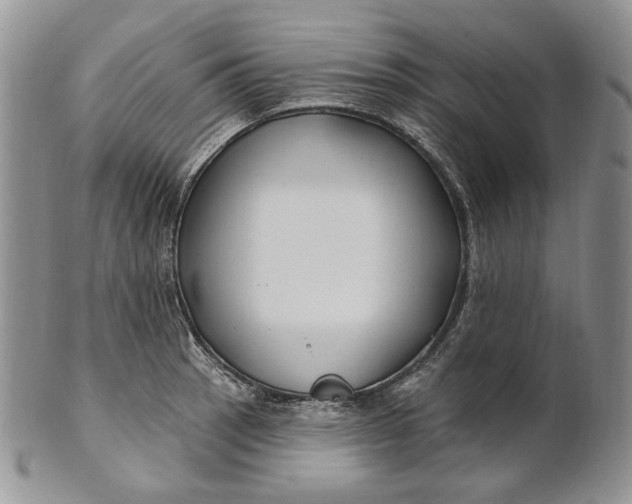 X0000100781137200807101810