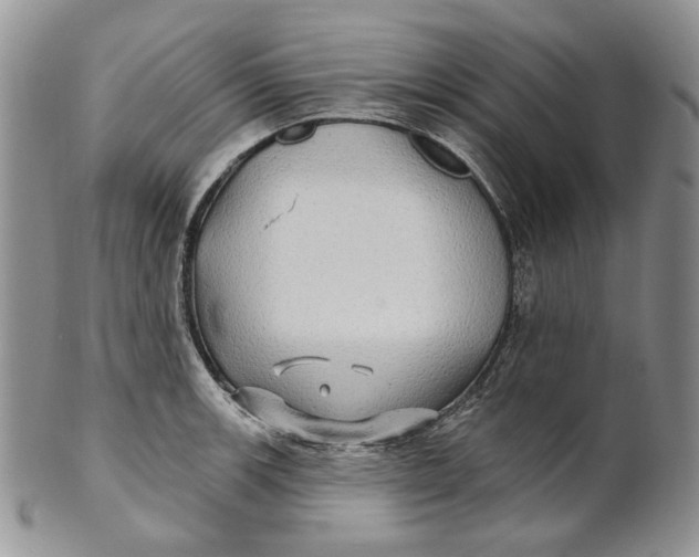 X0000100781139200807101810