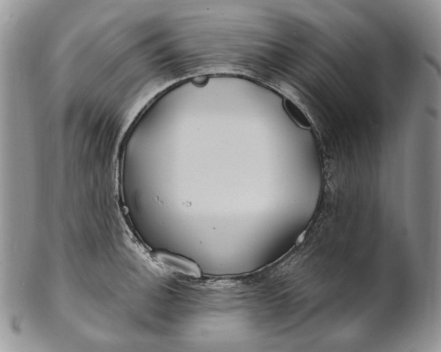 X0000100781140200807101810