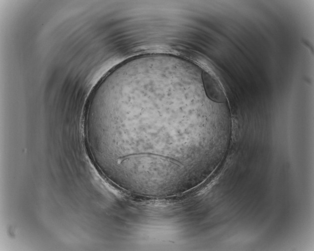 X0000100781141200807101810