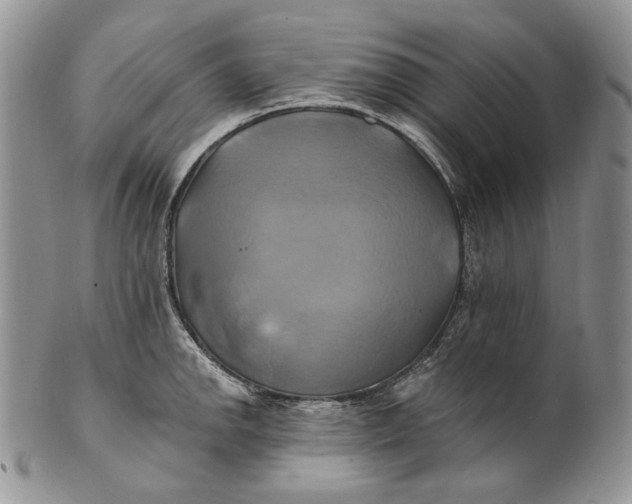 X0000100781142200807101810