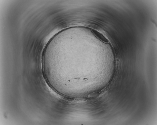 X0000100781143200807101810