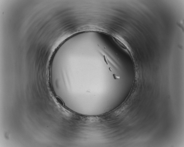 X0000100781144200807101810