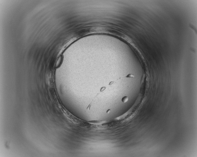 X0000100781145200807101810