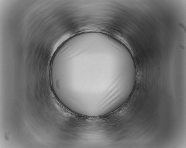 X0000100781146200807101810