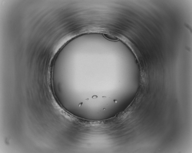 X0000100781147200807101810