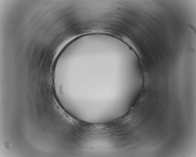 X0000100781148200807101810