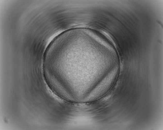 X0000100781149200807101810