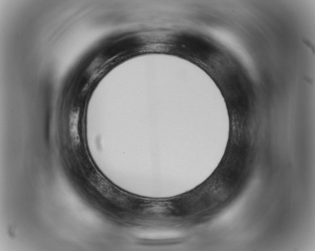 X0000100781150200807101810