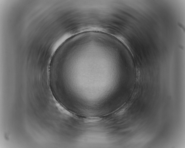 X0000100781151200807101810